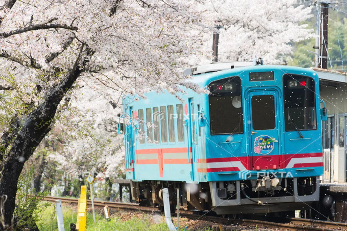 樽見鉄道 ハイモ330-700形の写真